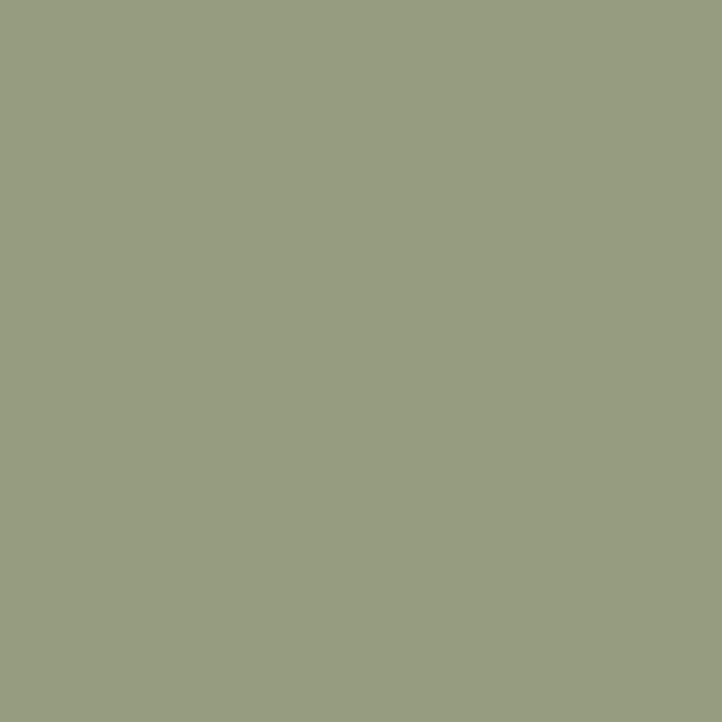 Vert Olive Versante is a deep, olive green hue with warm undertones. It pairs beautifully with earthy tones, bringing a natural and vibrant feel to any space. Enjoy the sophisticated and versatile look of Vert Olive.