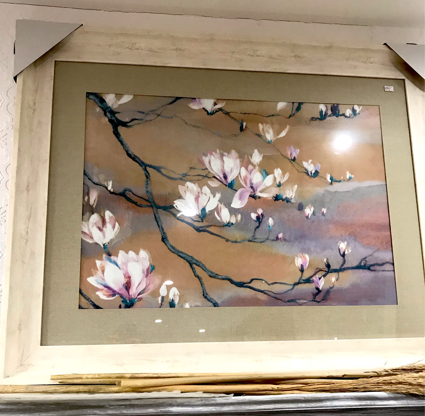 amoena Coral Framed Print (5863409746080)