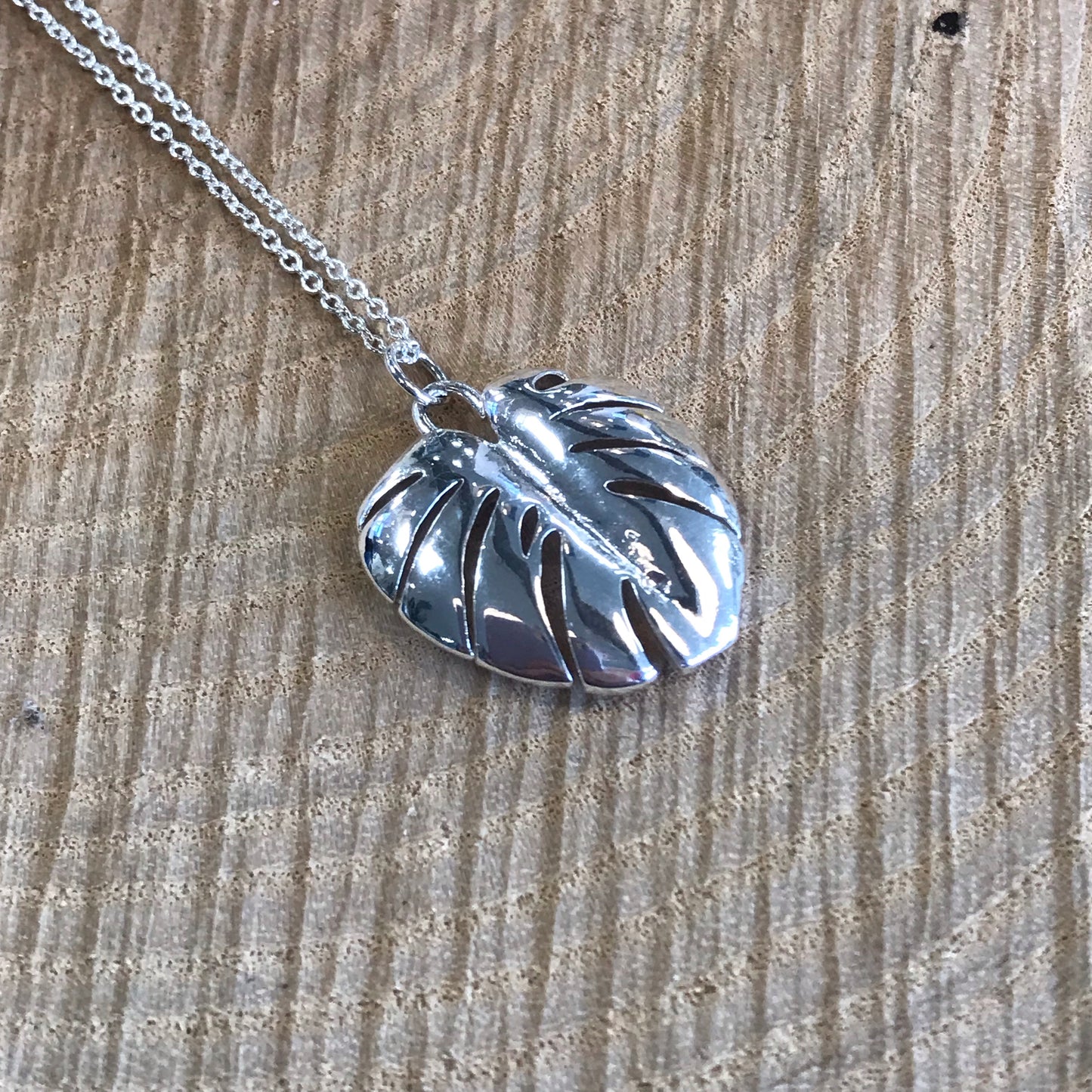 Sliver Leaf Long Necklace (5901498351776)