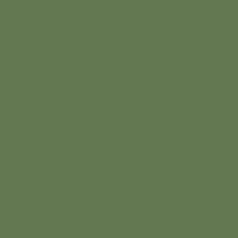 Fern, Versante is a rich, mid to dark green paint color. Its deep and complex hues create an inviting atmosphere, perfect for any home. Fern is a great choice to create a calming atmosphere.