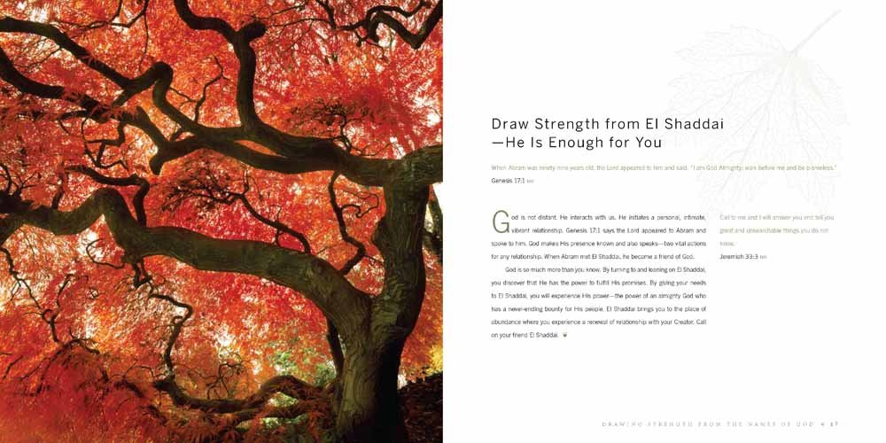 Drawing Strength from the Names of God - Catherine Martin (5377852506272)