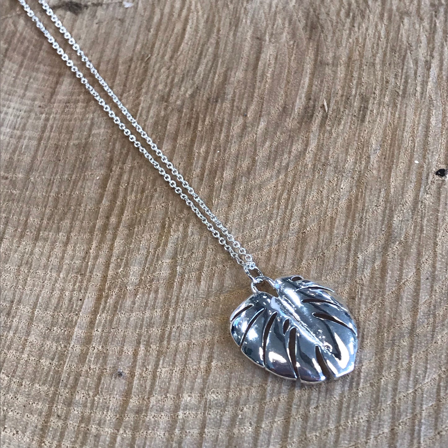 Sliver Leaf Long Necklace (5901498351776)